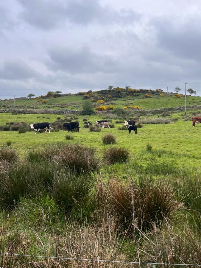Lacken Farmyard Kilmihil Dış mekan fotoğraf