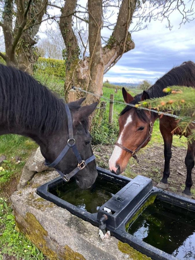 Lacken Farmyard Kilmihil Dış mekan fotoğraf